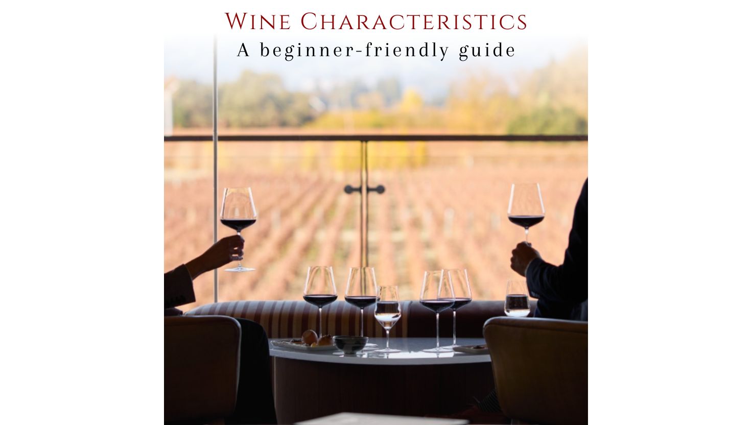 Breaking down wine characteristics: A beginner-friendly guide