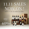 11.11 BIG SALE 2025