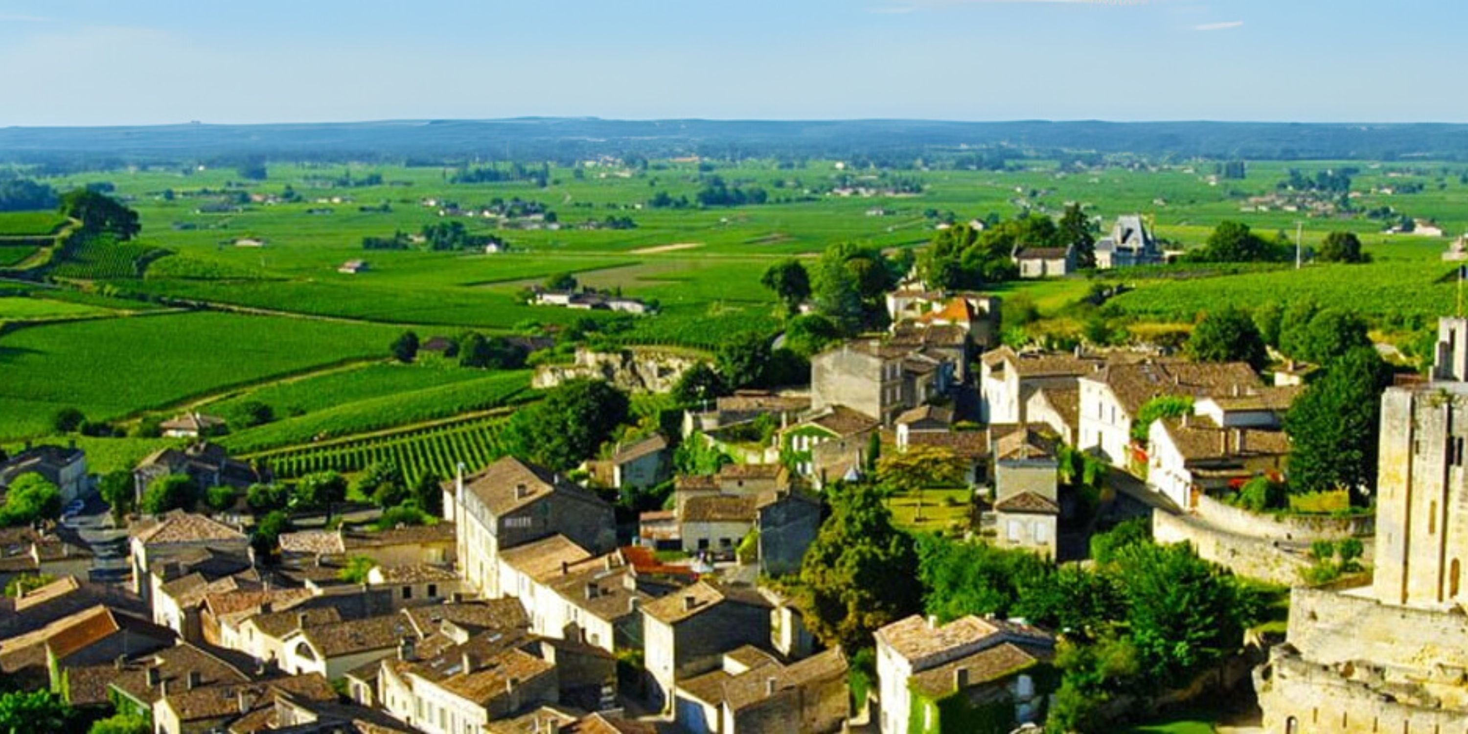 Top-Selling Wines from St. Emilion, Spain, and Shunyi Cellar