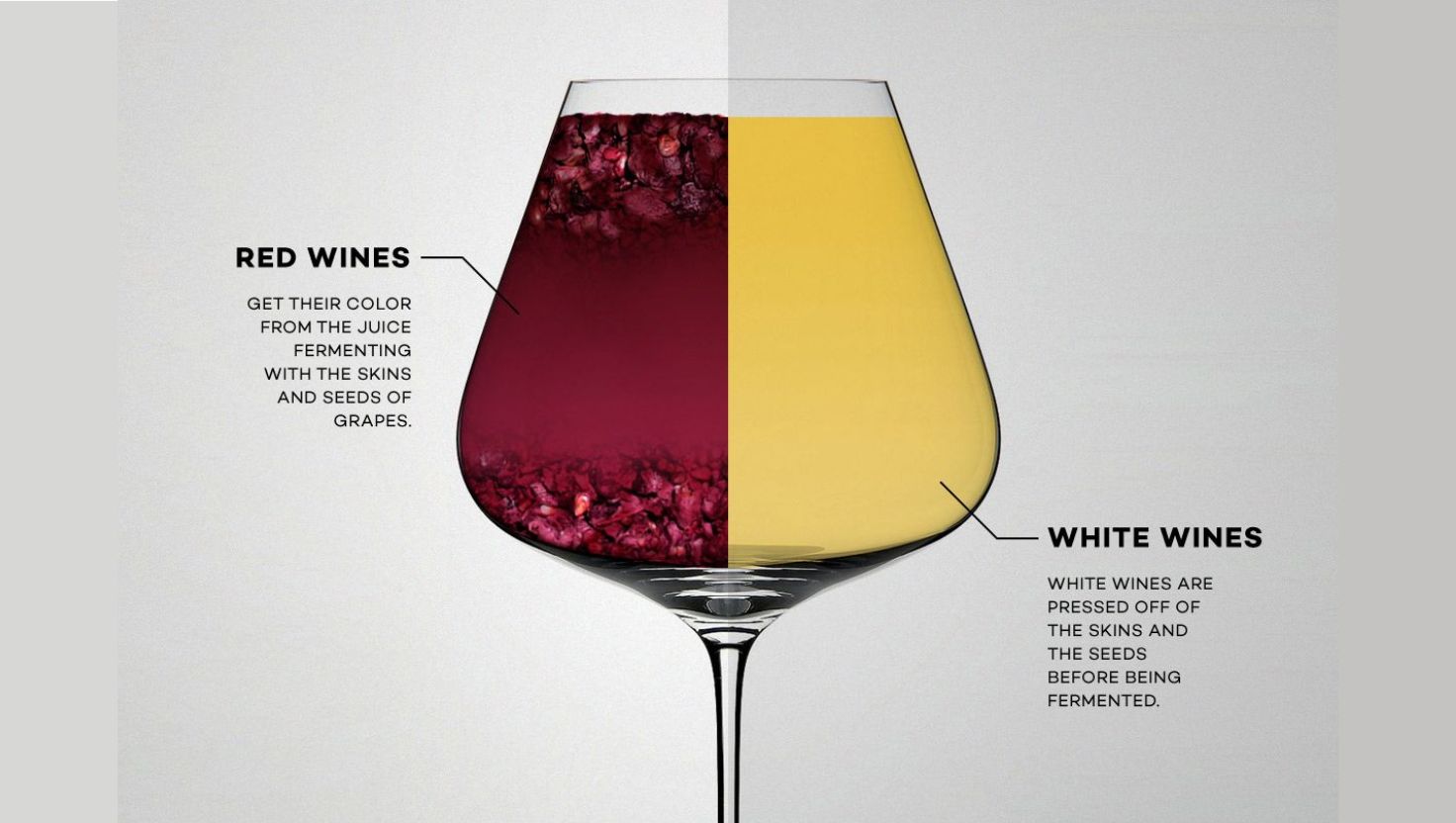 Guide to Wine Color | Wine Education