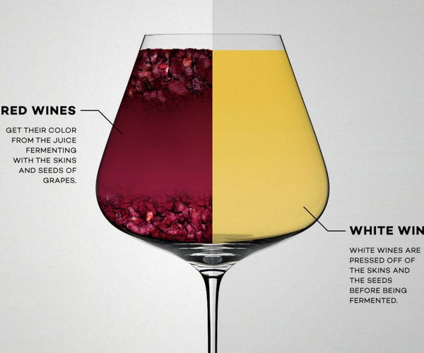Guide to Wine Color | Wine Education