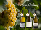 The Chardonnay Chapter: Where Terroir Meets Technique