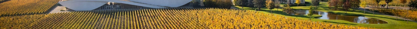 Chateau Cheval Blanc | The Winery | Saint Emilion | Premier Grand Cru Classe A