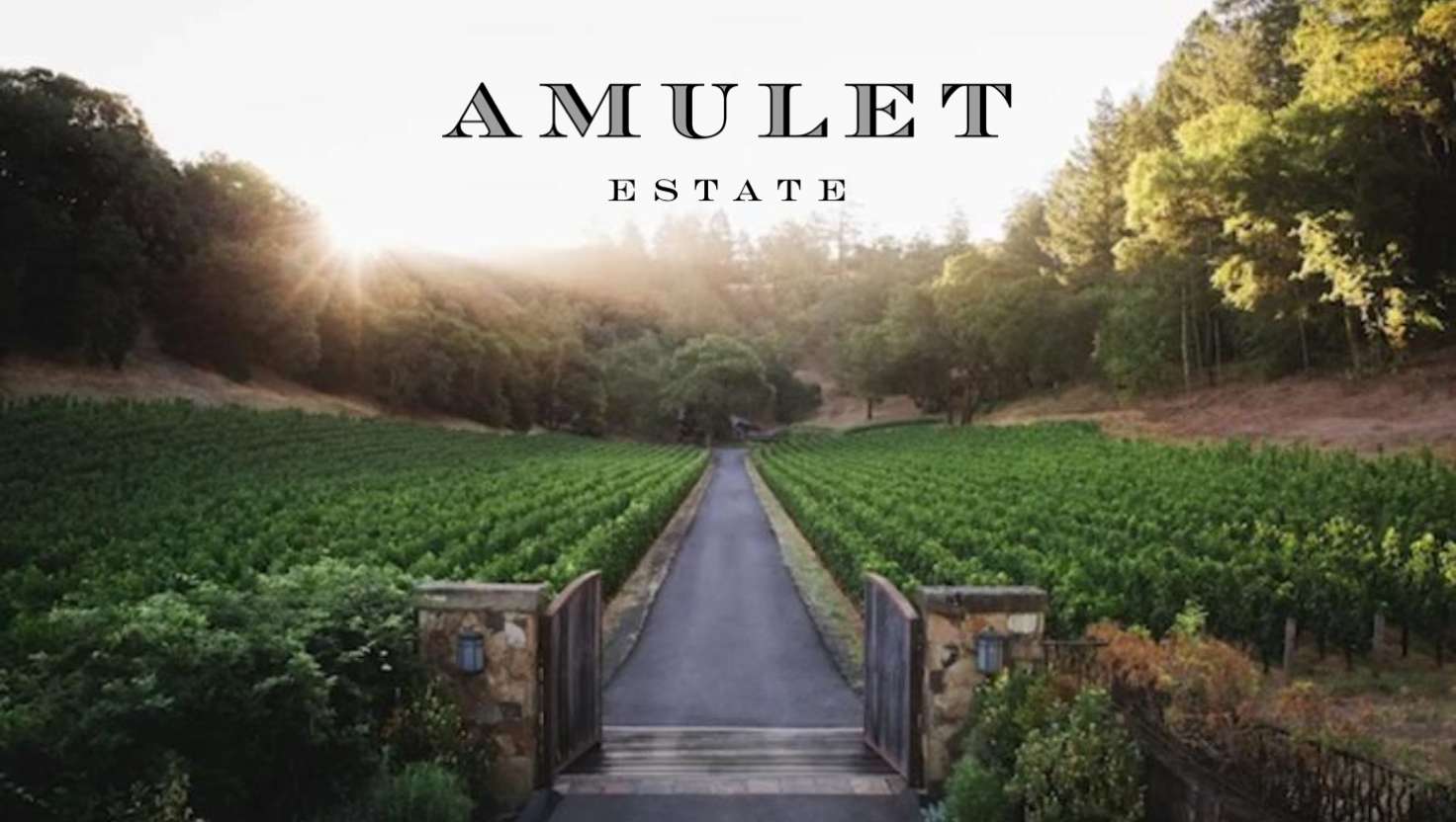 Amulet Estate: Napa’s Modern Legacy of Cabernet