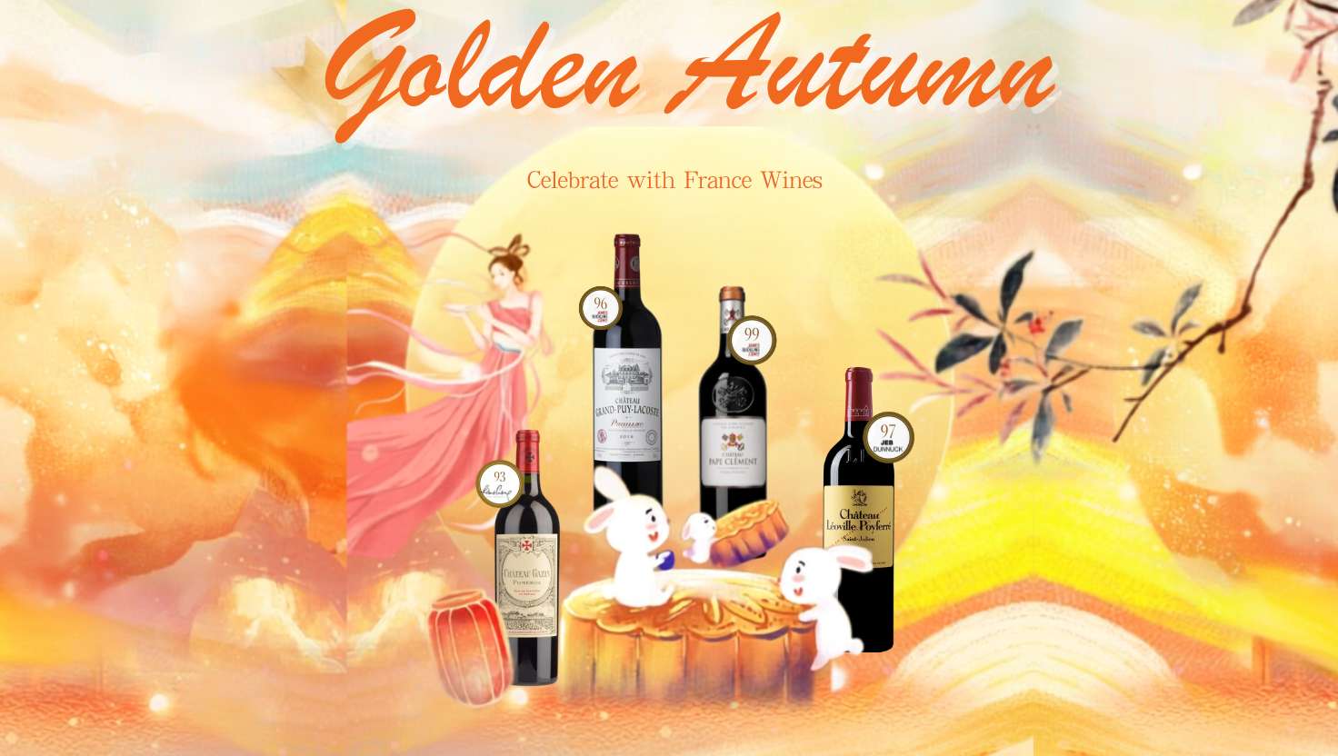 ✨ France Wine Collection – Best Price Awaits!