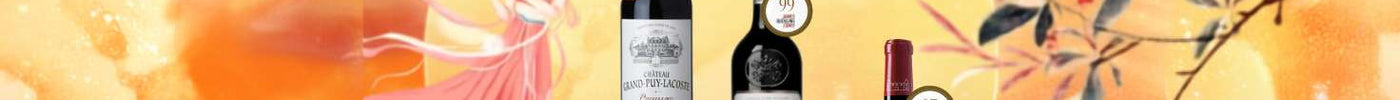 ✨ France Wine Collection – Best Price Awaits!