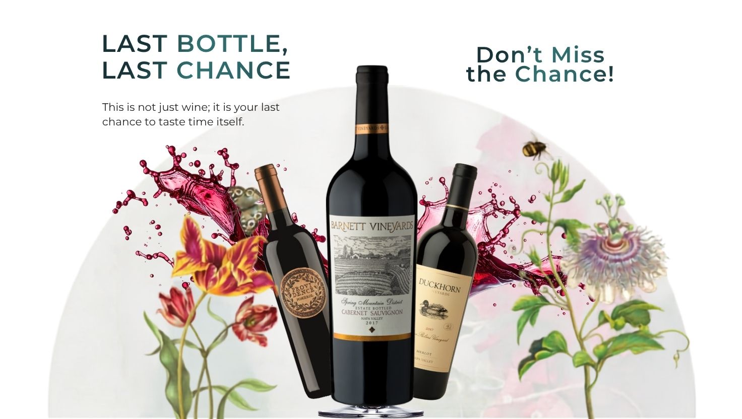 Last Bottle, Last Chance: A Toast to Time