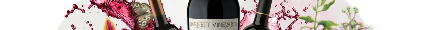 Last Bottle, Last Chance: A Toast to Time