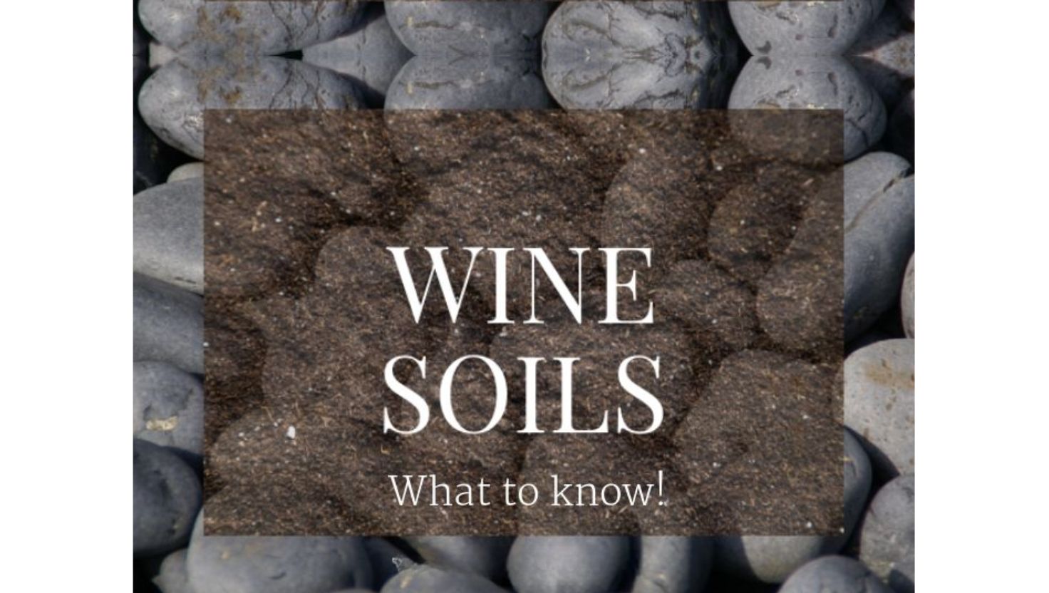 Wine Soils You Must Know: The Foundation of Flavor