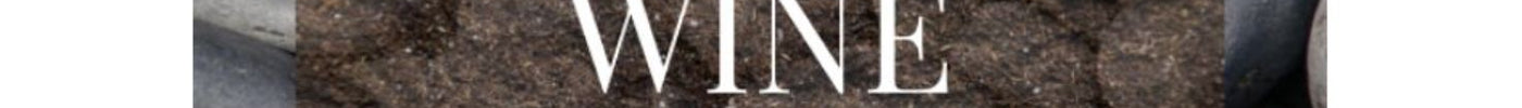 Wine Soils You Must Know: The Foundation of Flavor