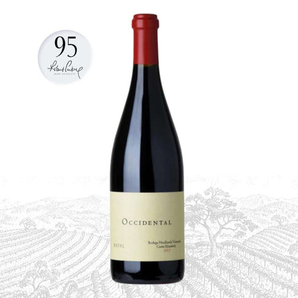 2022 Occidental Bodega Headlands Vineyard Sonoma Coast Pinot Noir