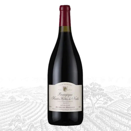 Domaine Hudelot-Baillet  Bourgogne Hautes Cotes de Nuits Rouge - 1976 WINEHOURS
