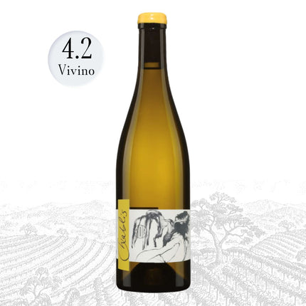 Domaine Pattes Loup Chablis Vente d'Ange Mise Tardive - 1976 WINEHOURS