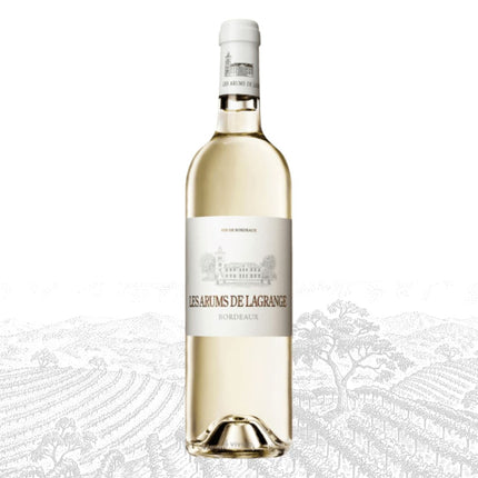 Bottle of white wine with a visible label on a light background